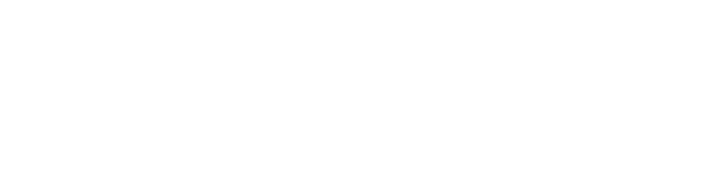 pphospital.co.in